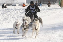 Lenk 2012 SM